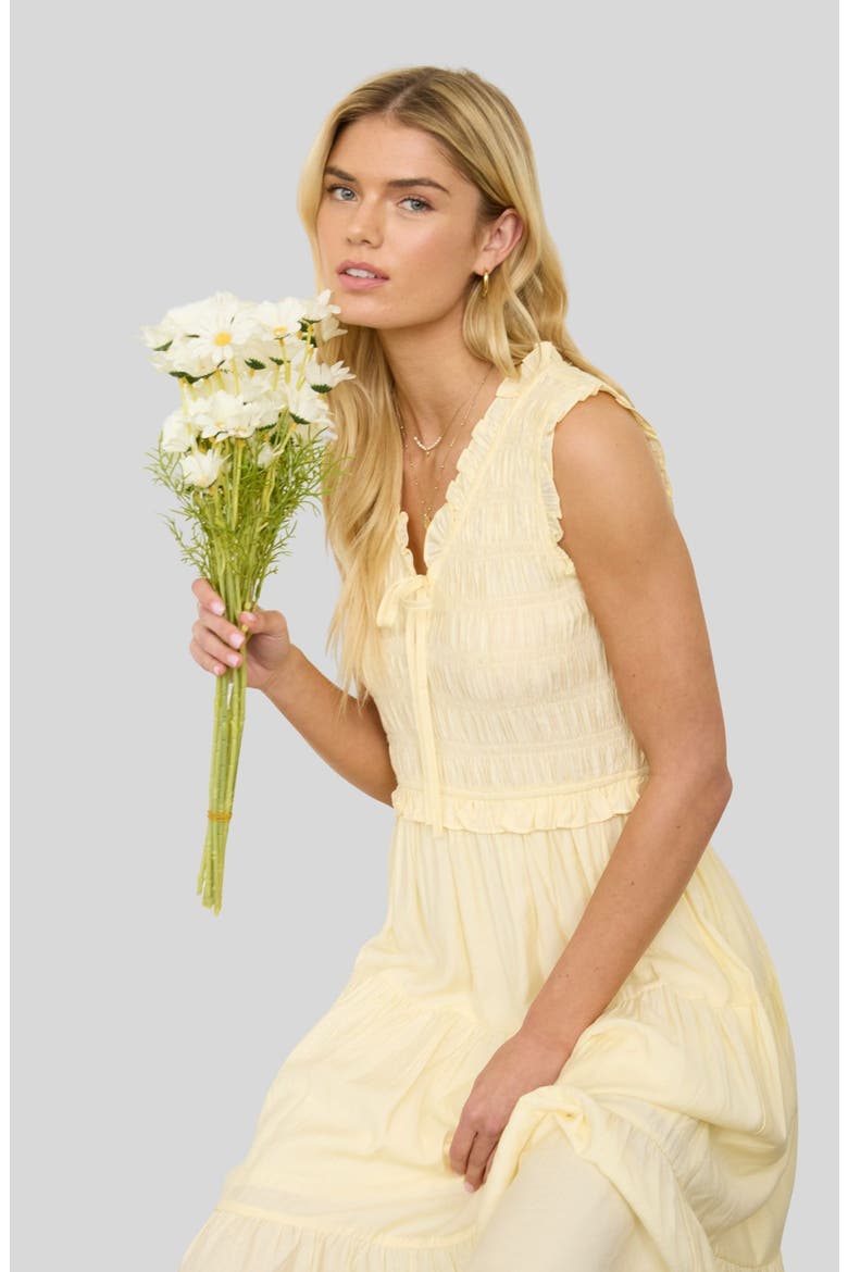 Smock Bodice Midi Dress, Alternate, color, BUTTER YELLOW