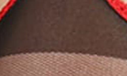 Memoi Garden Of Eden Suspender Tights In Black