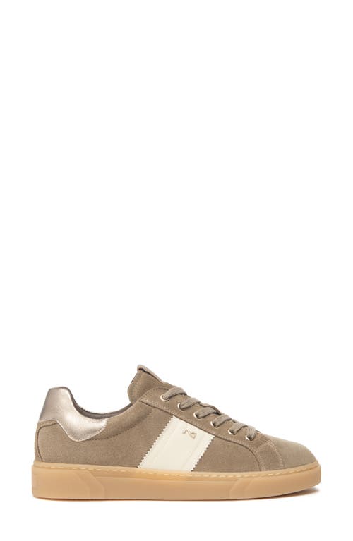 Nerogiardini Retro Low Top Sneaker In Brown