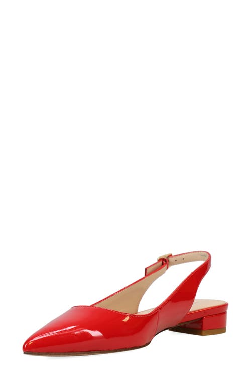Pelle Moda Allin Pointed Toe Slingback Pump In Red