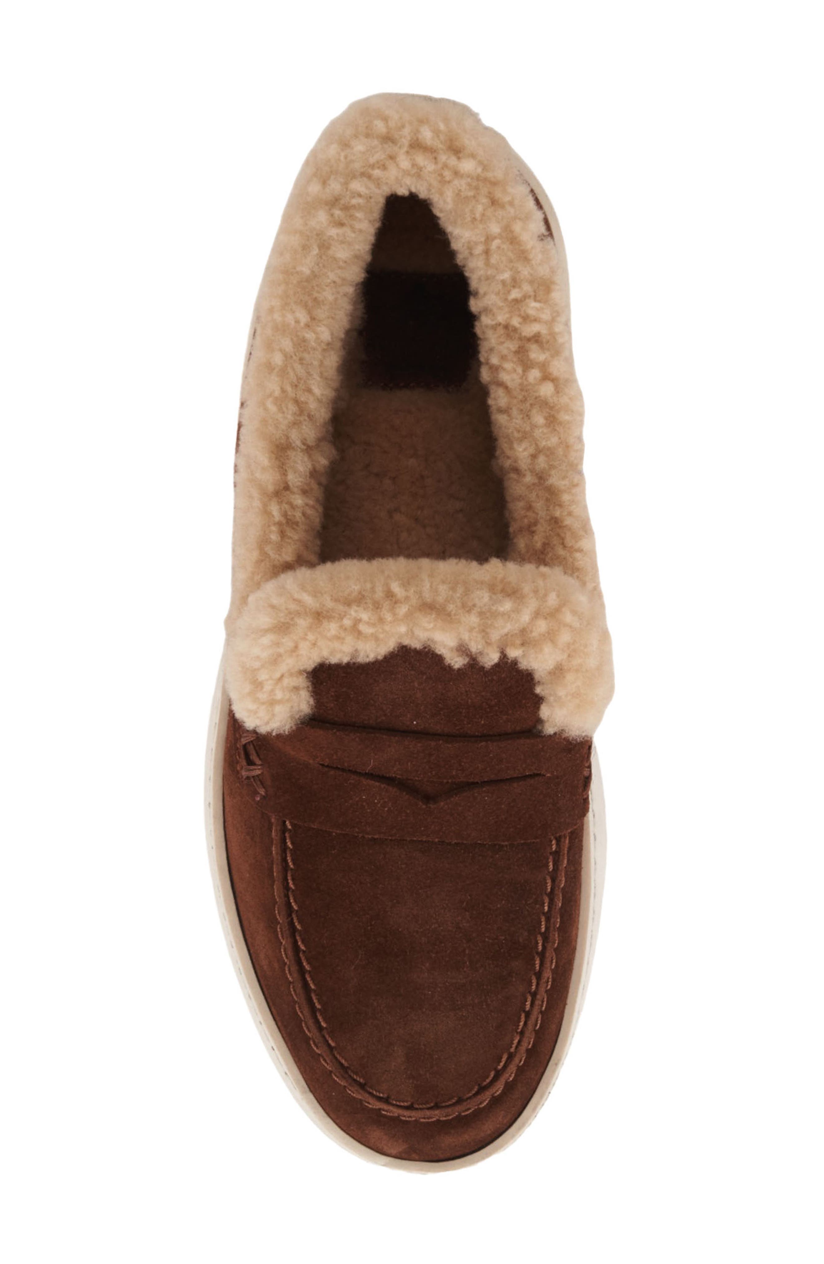Aquatalia Ameila Genuine Shearling Lined Weatherproof Penny Loafer, Alternate, color, Brandy/ Ecru Suede