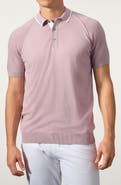 GARNET Cotton Blend Sweater Polo