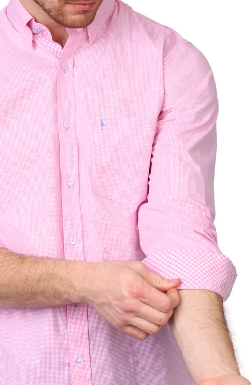 TAILORBYRD TAILORBYRD MICRO GINGHAM STRETCH COTTON BUTTON-UP SHIRT 