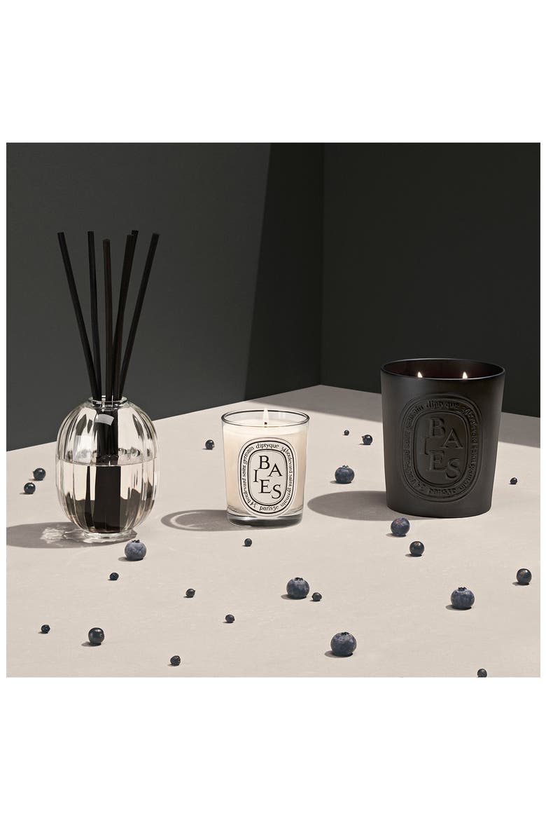 Baies (Berries) Large Scented Candle, Alternate, color, BLACK VESSEL