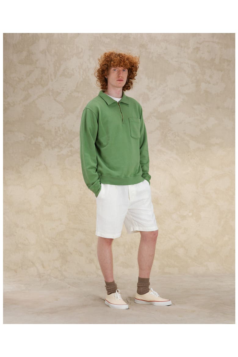 Cotton Zip-Up Sweatshirt, Alternate, color, Sage Green