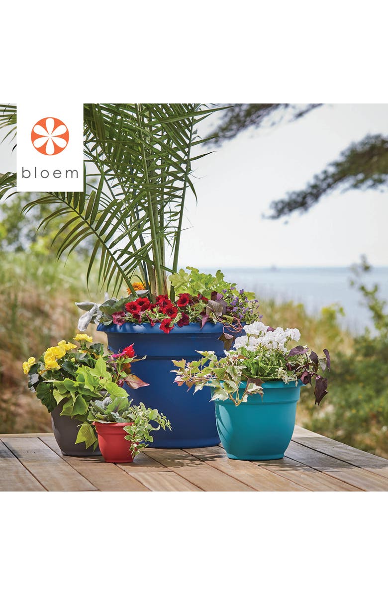 Bloem Ariana Self Watering Planter 16 Inch, Charcoal Gray, Alternate, color, Gray