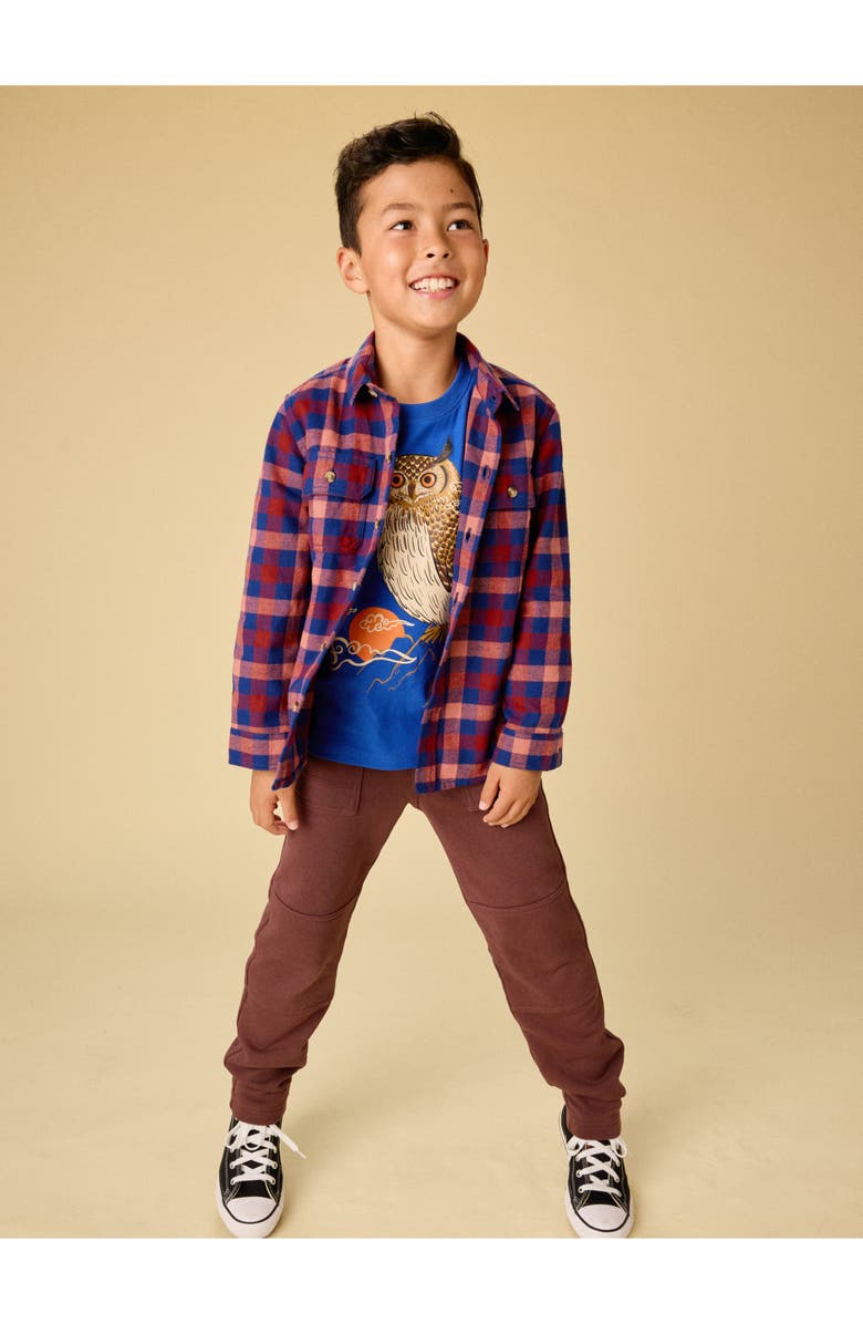 Tea Collection Flannel Button Up Shirt, Alternate, color, Daegu Plaid