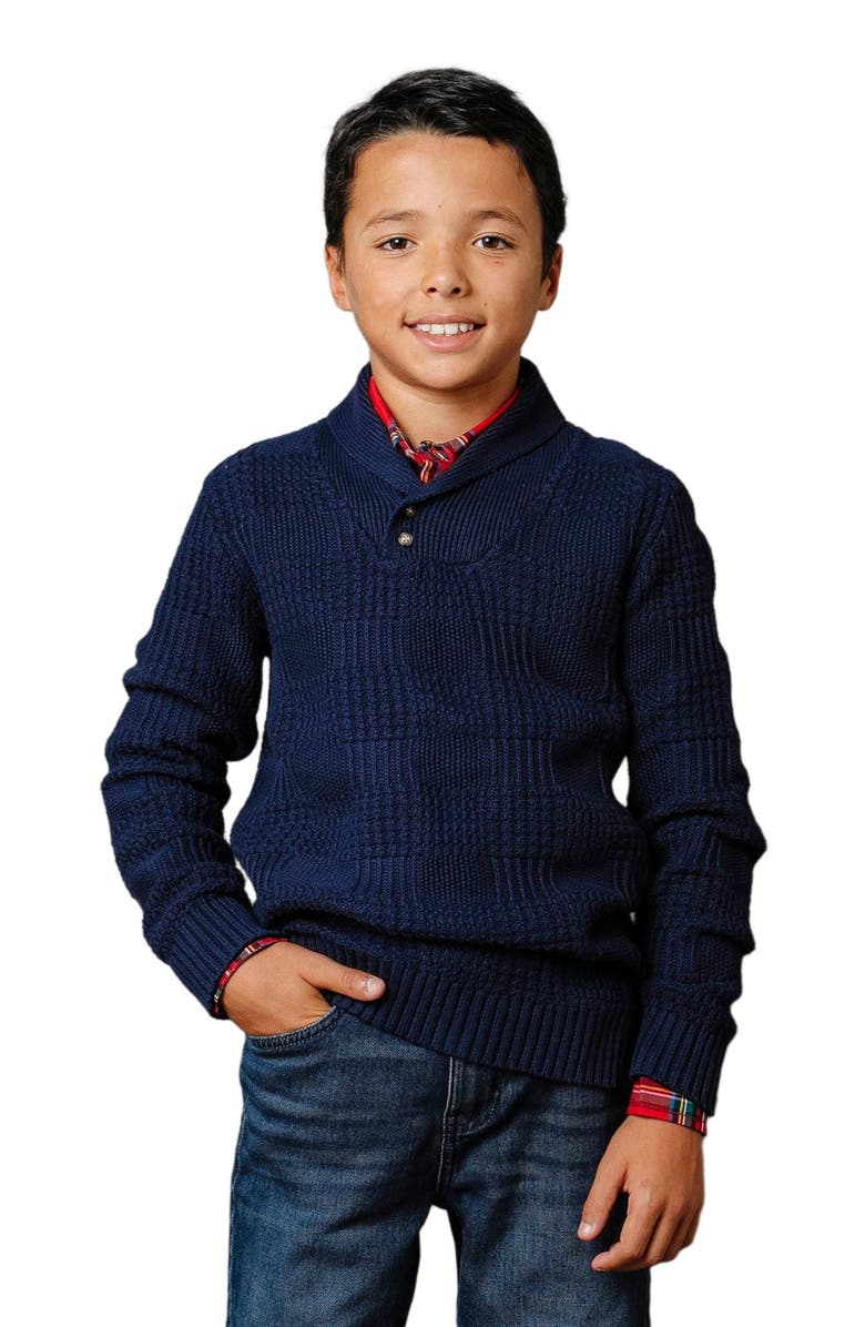 Hope & Henry Boys' Organic Textured Shawl Collar Sweater, Kids, Main, color, Navy Glen Plaid Texture