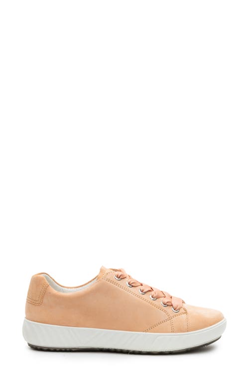 Ara Alexandria Suede Sneaker In Orange