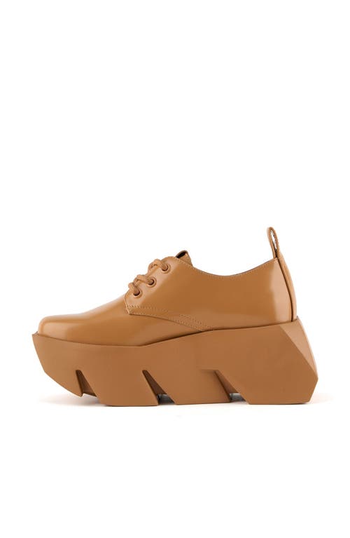 United Nude Bull Derby In Brown