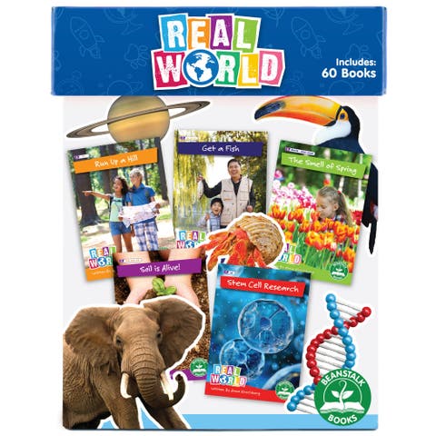 Real World Phases 26 Box Set
