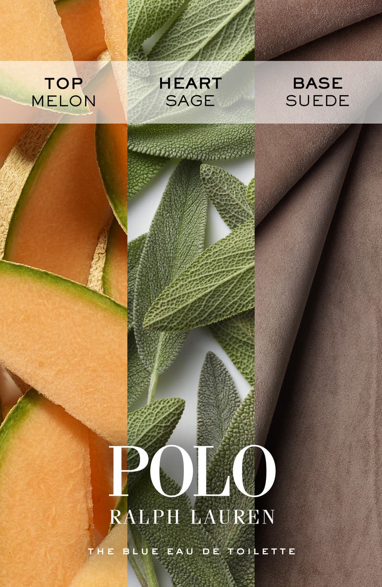 Ralph Lauren World of Polo Eau de Toilette Gift Set (Limited Edition) $180 Value, Alternate, color,