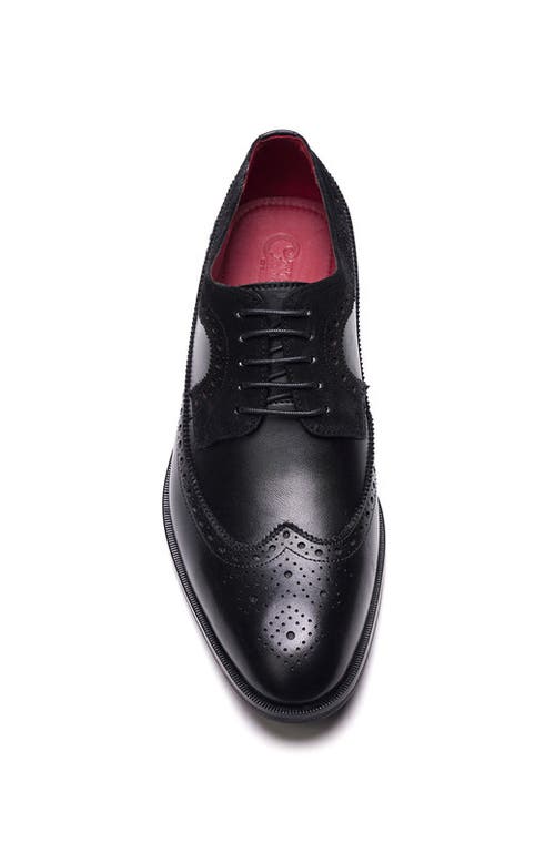 Carlos Santana Felix Wingtip
