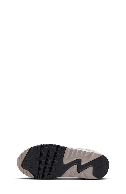 Nike Air Max 90 Sneaker In Multi