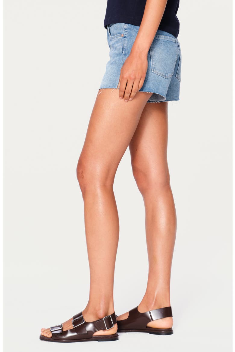Zoie Raw Hem Mid Rise Relaxed Denim Shorts, Alternate, color, DAYDREAM VINTAGE
