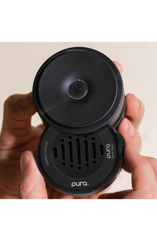 Pura Black Frost Car Dual Refill Pack In Black Frost