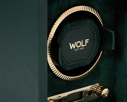 Wolf British Racing Single Watch Winder In Green