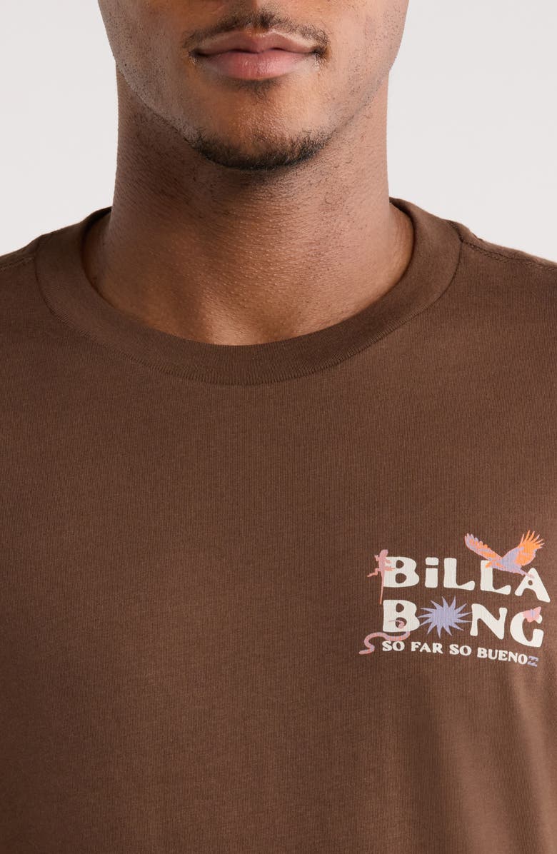 Billabong Land to Sea Cotton Graphic T-Shirt, Alternate, color, Rustic Brown