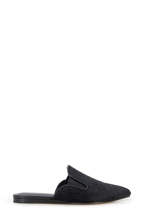 Splendid Liza Pointed Toe Mule In Black