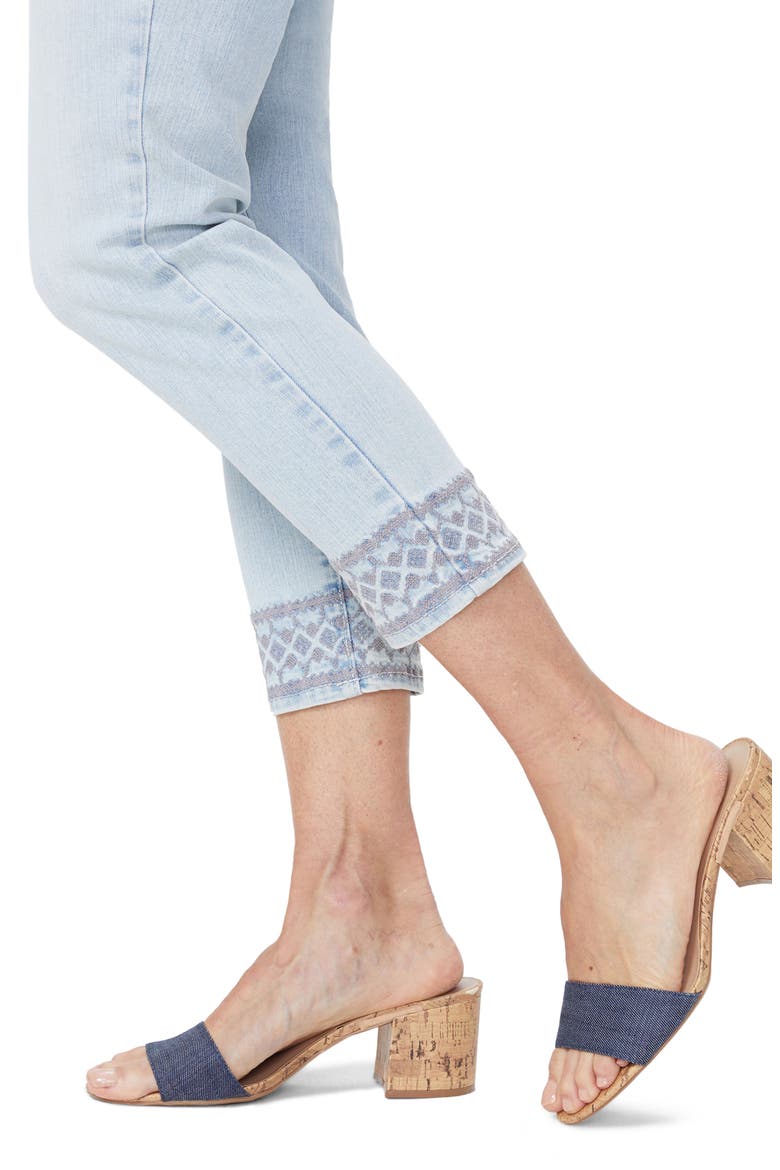 Ami Embroidered Border Ankle Skinny Jeans, Alternate, color, PALM DESERT