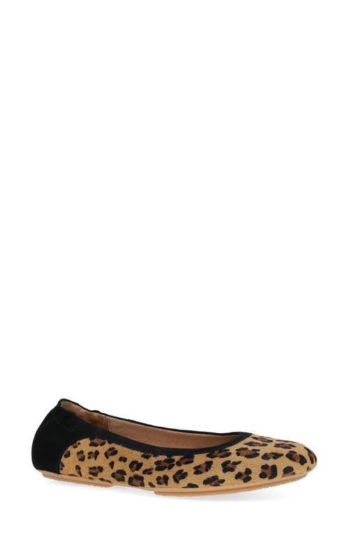 Dansko Madisen Geniune Calf Hair Ballet Flat In Animal Print
