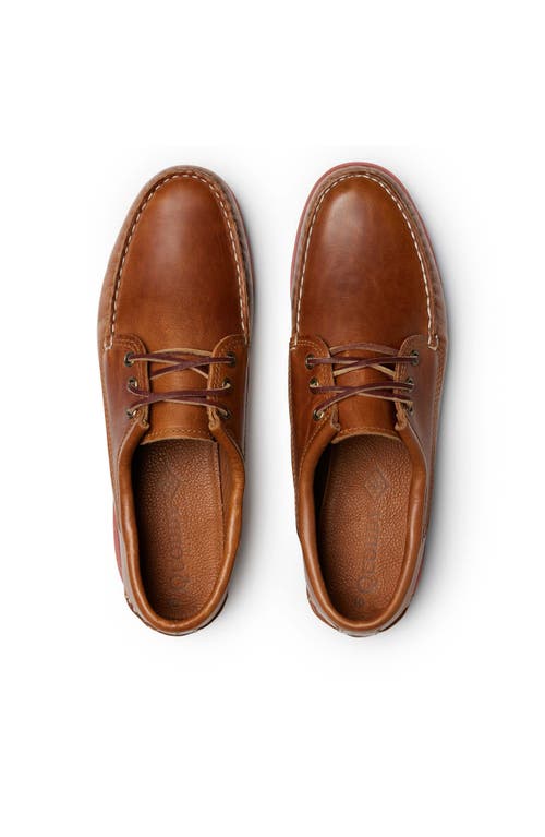 Quoddy Blucher Shoe In Brown