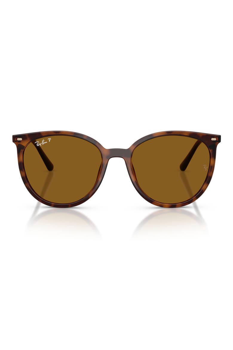RB4464L 54mm Polarized Round Sunglasses, Main, color, DARK HAVANA / DARK BROWN POLAR