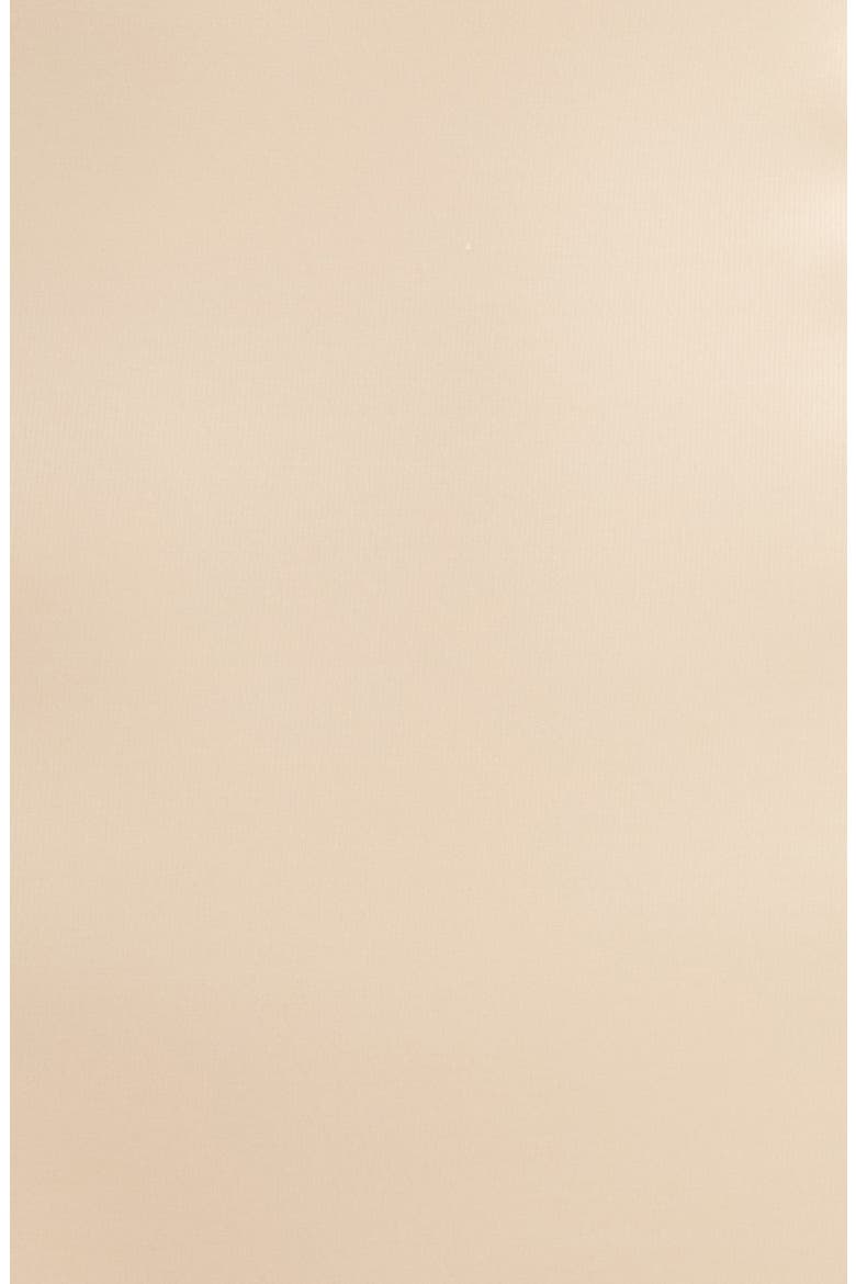 Basic Shaping High Waist Briefs, Alternate, color, ULTRA NUDE