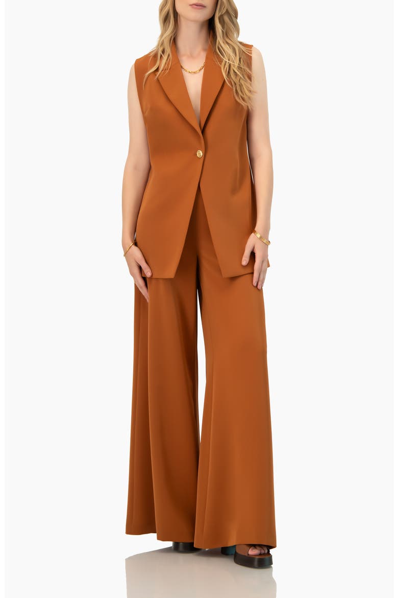 Solid Ultra Wide-Leg Pants, Alternate, color, Brown
