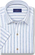 David Donahue Stripe Short Sleeve Slub Linen Button-Up Shirt
