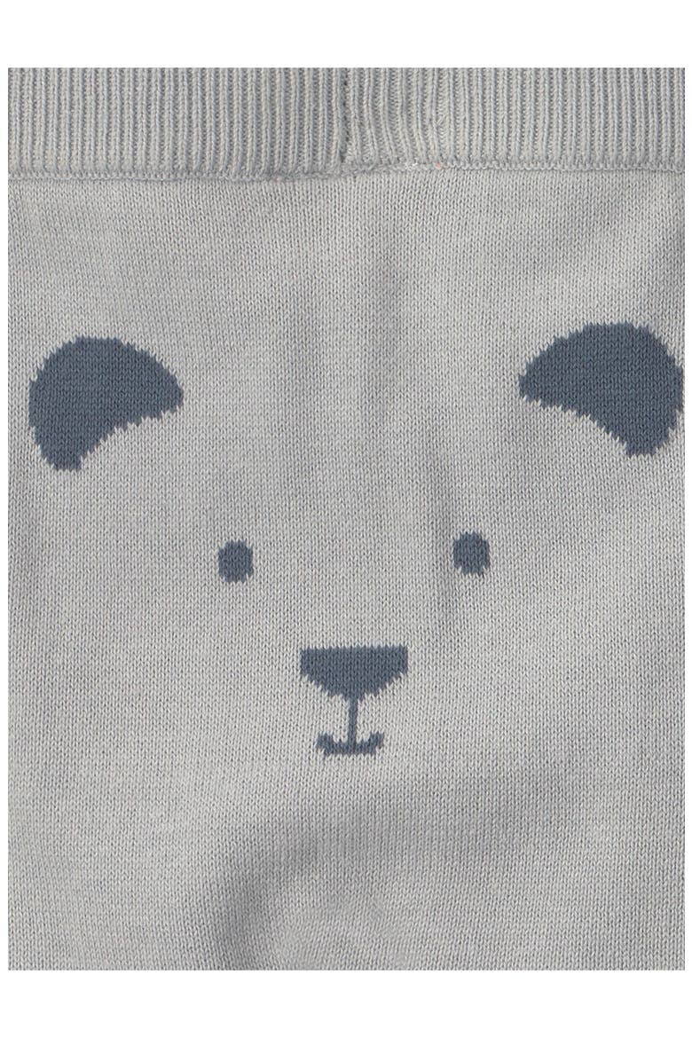 Kids' 2-Piece Organic Cotton Sweater & Pants Set, Alternate, color, LP BLUE BEAR