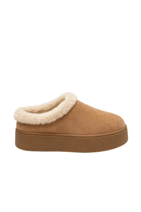 Women’s Vernon Wp Clog