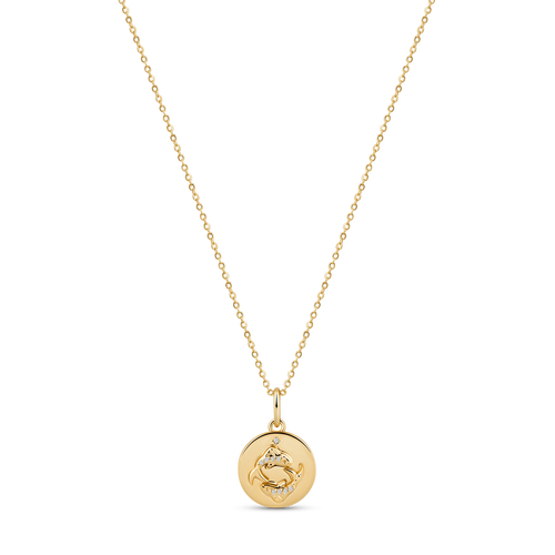 Electric Picks Beyond the Stars Zodiac Necklace in Gold- Pisces  product
