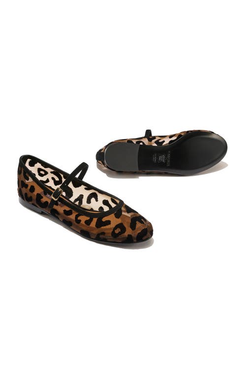 Margaux The Mesh Demi Jane In Leopard