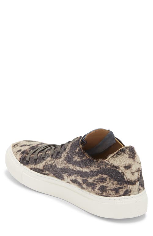 John Varvatos Reed Genuine Calf Hair Low Top Sneaker In Multi