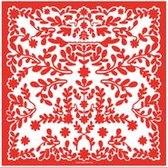 Jessie Zhao New York Double Sided Silk Scarf Red Blessing