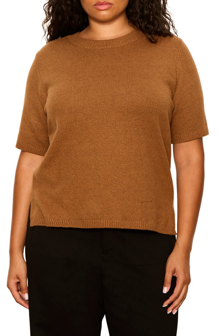 Perfect Short Sleeve Sweater, Main, color, COCOA POWDER BROWN