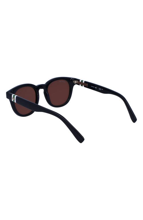 Lacoste 49mm Oval Sunglasses In Blue