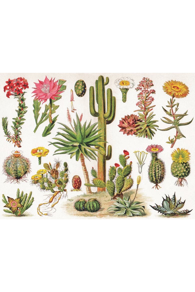 Cacti ~ Cactus 1000 Piece Puzzle, Alternate, color, No Color