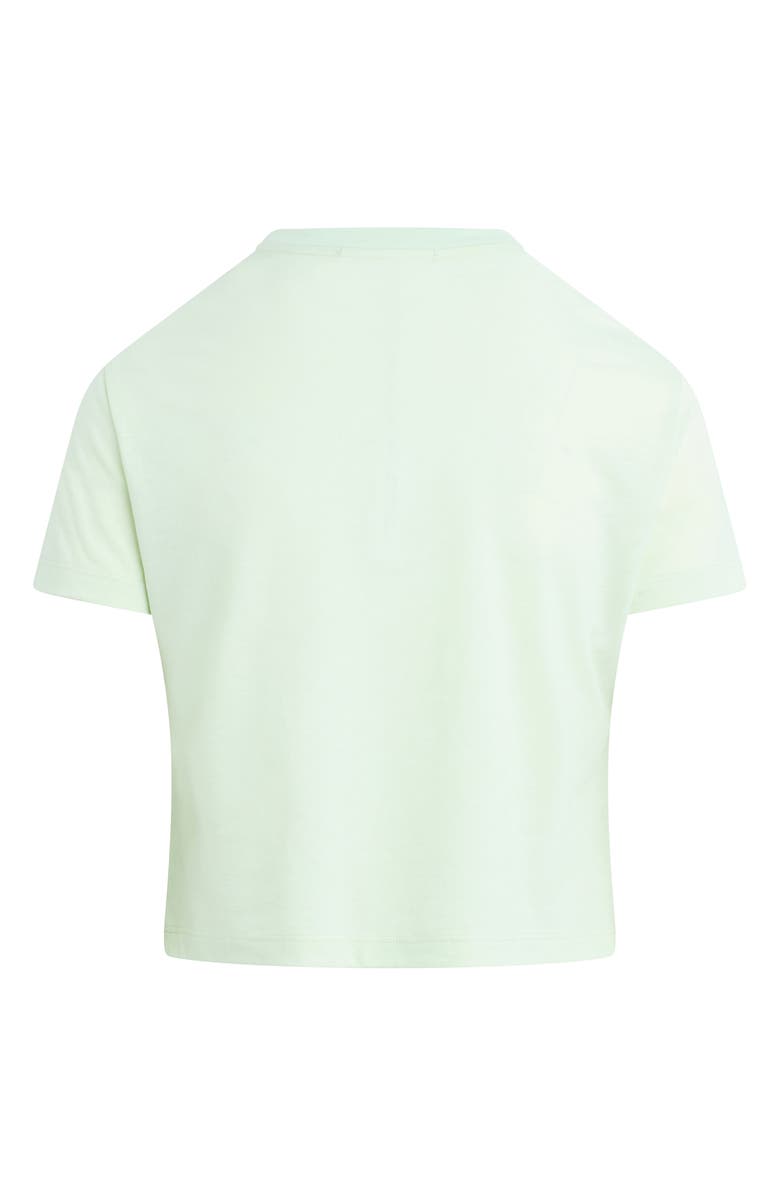 Favorite Daughter The Crop Varsity T-Shirt, Alternate, color, Mint