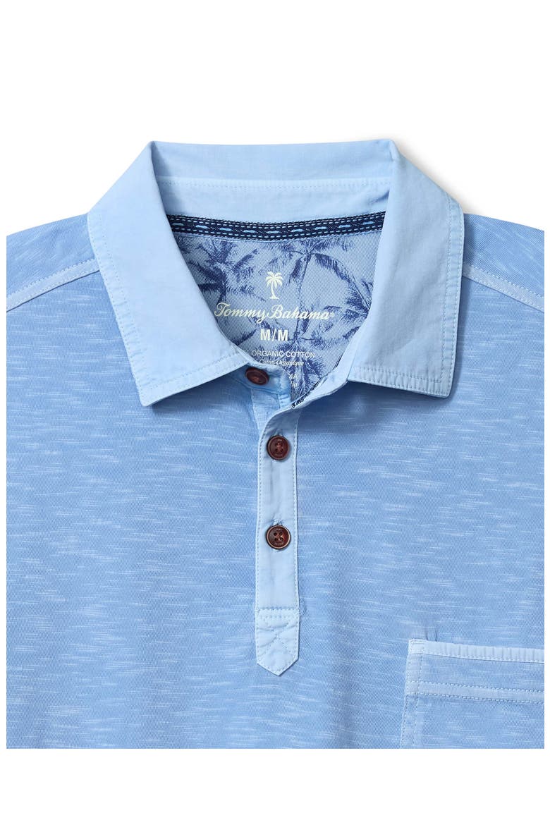 Condesa Canyon Organic Cotton Polo Shirt, Alternate, color, DUSTY LUPINE