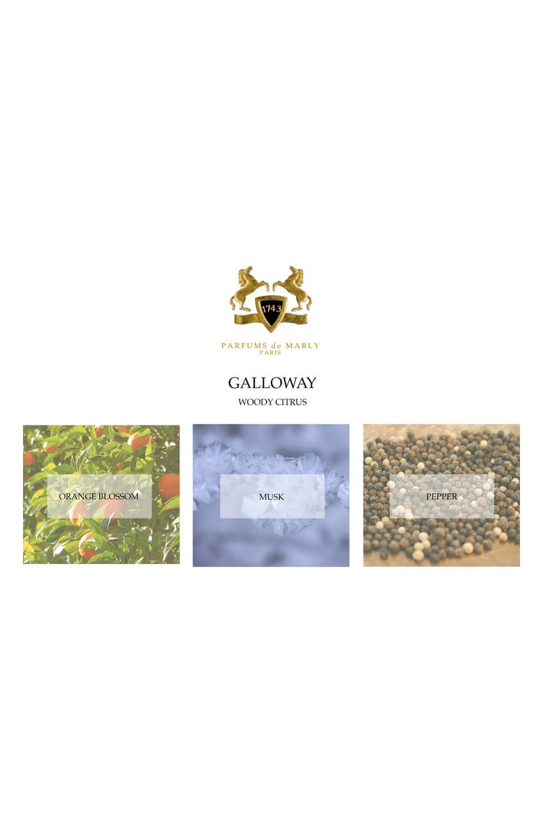Parfums de Marly Galloway Eau de Parfum, Alternate, color, 