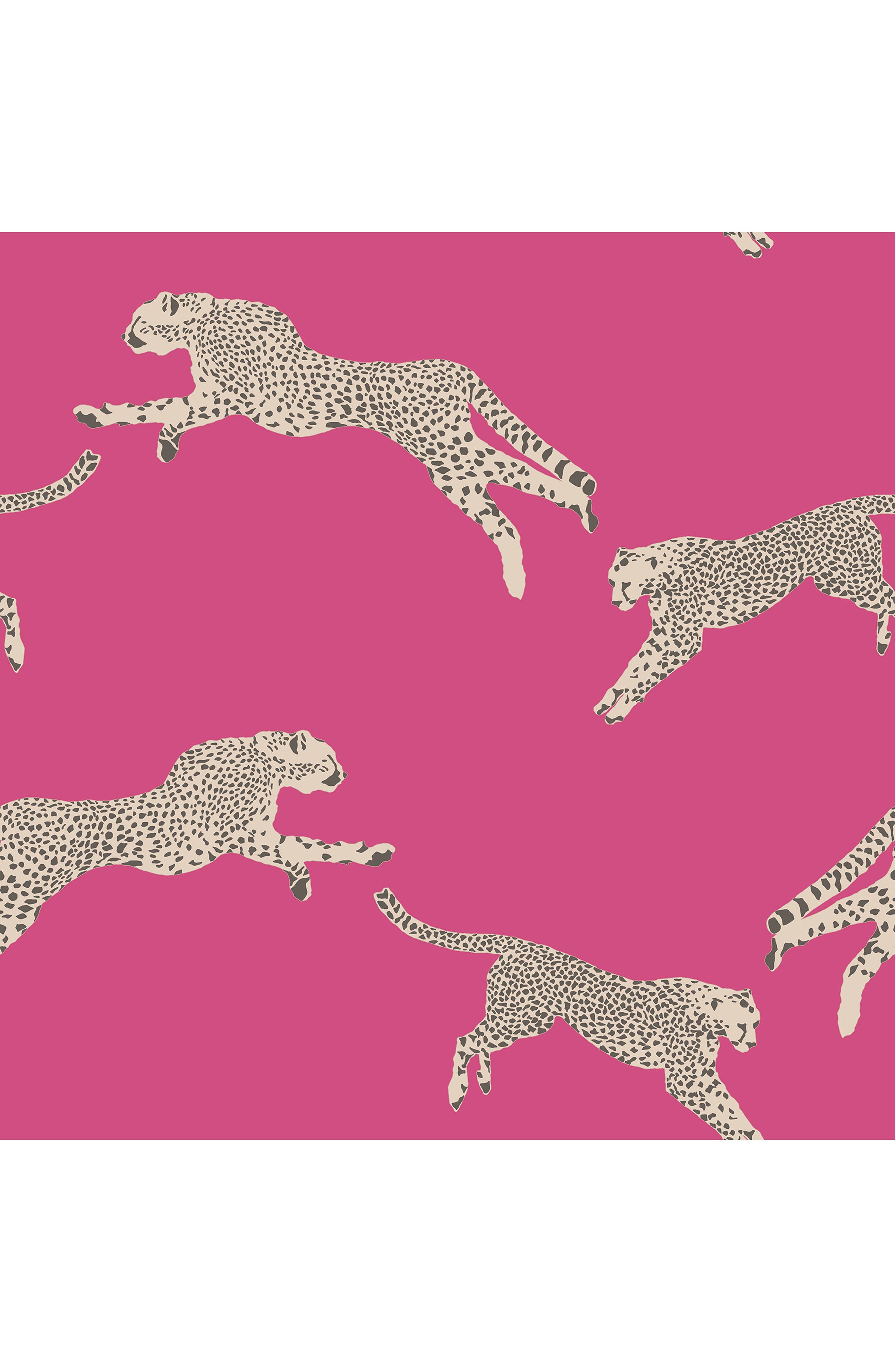 Wallpops Cheetah Print Wallpaper