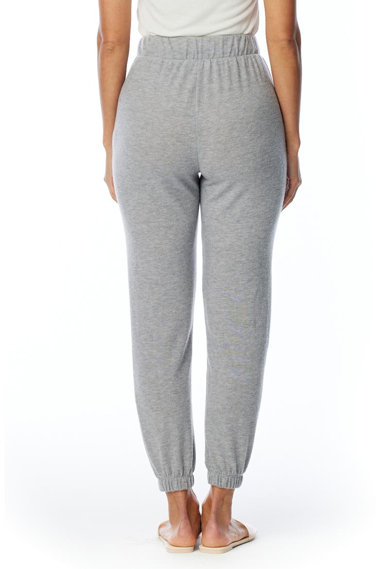 Erza Cozy Jogger Pants, Alternate, color, HEATHER GREY