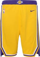 Nike Youth Nike Gold Los Angeles Lakers Icon Edition Mesh Performance Swingman Shorts