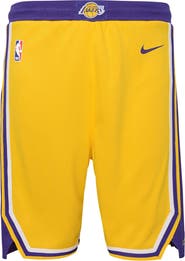 Nike Youth Nike Gold Los Angeles Lakers Icon Edition Mesh Performance Swingman Shorts