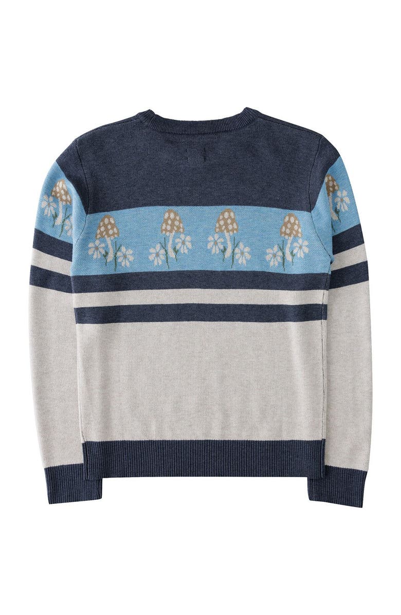 KAVU Hillrose Sweater - Women's, Alternate, color, Mushroom Patch