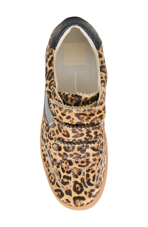 Dolce Vita Notice Sneaker In Brown