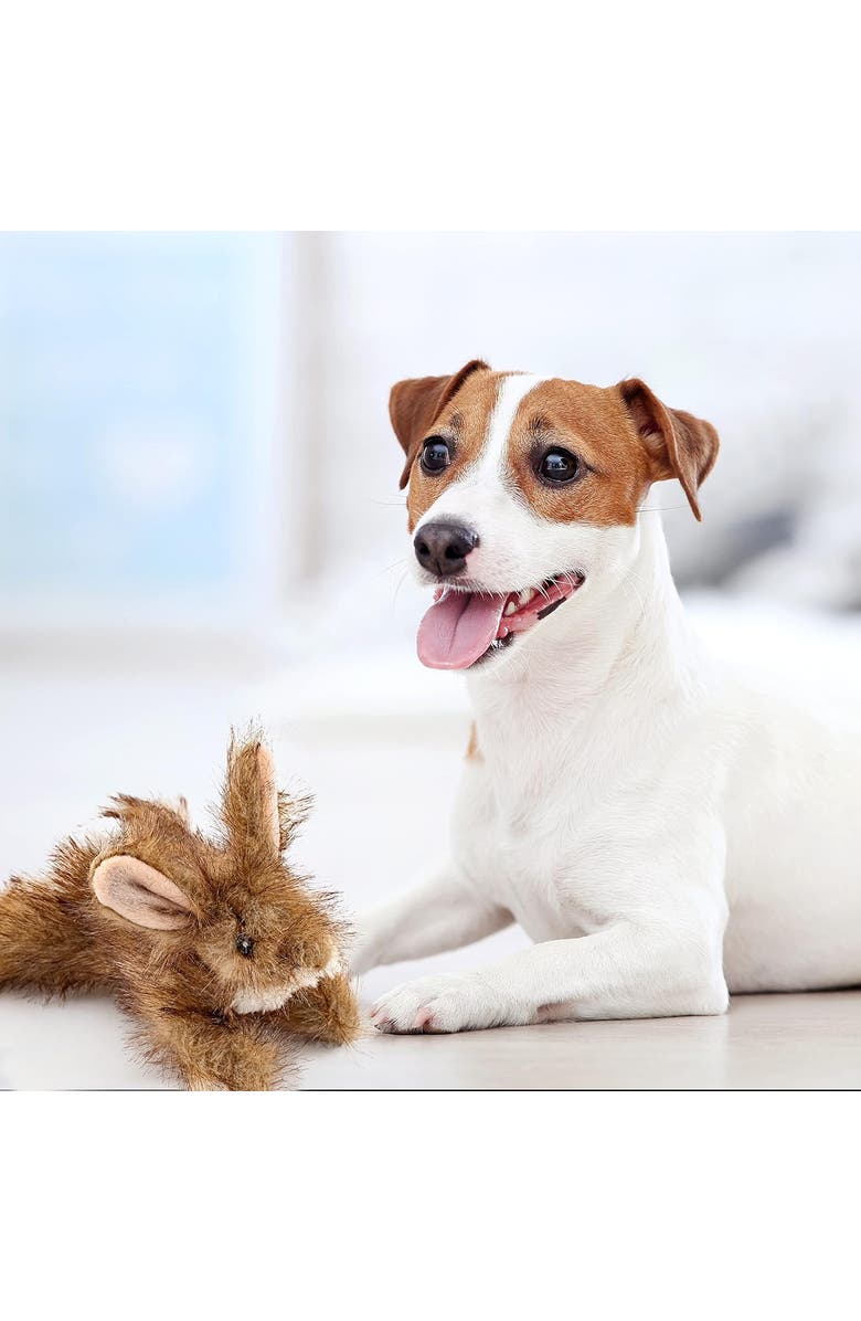 Ruffin' It Westminster Pet Woodlands Plush Dog Toy Rabbit, Alternate, color, Brown