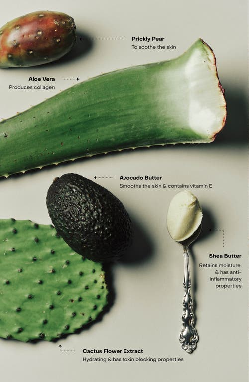 Sidia The Hand Serum: Nirvana In Wired